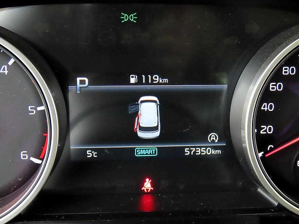 KIA Carnival - Vista 8