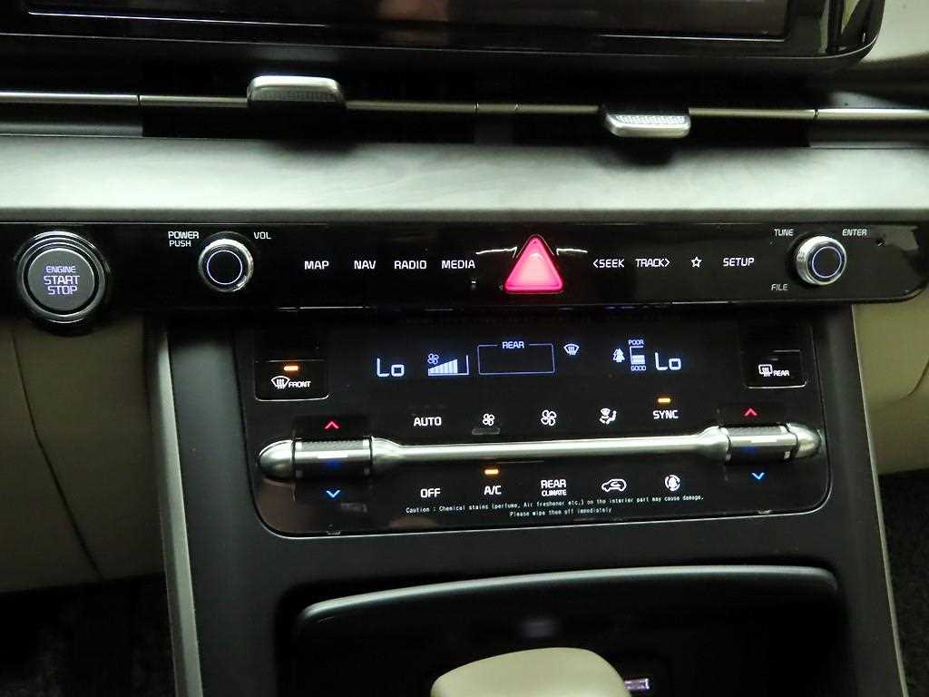 KIA Carnival - Vista 9