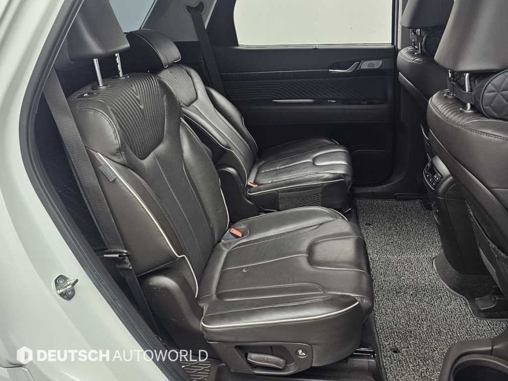 HYUNDAI Palisade - Vista 12