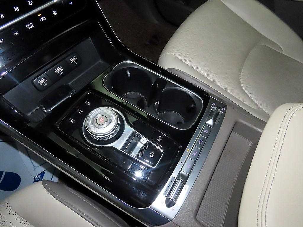 KIA Carnival - Vista 12