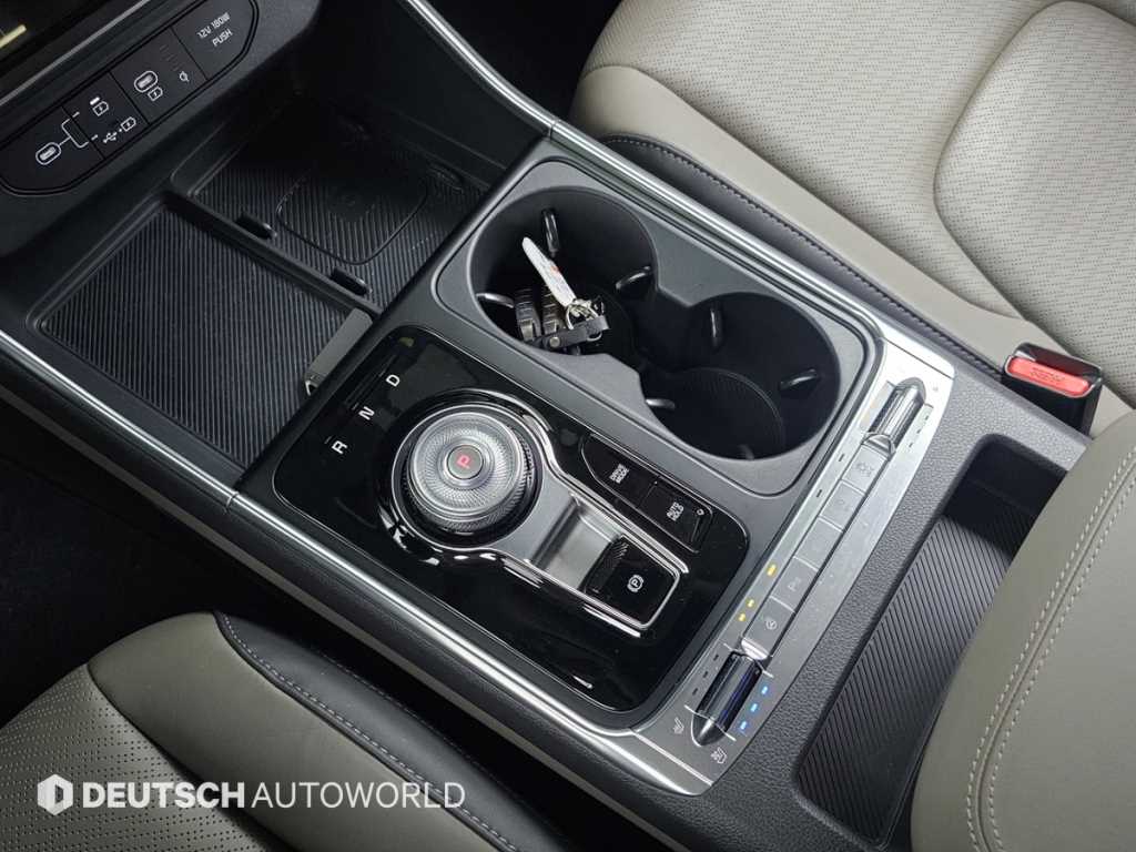 KIA Carnival - Vista 9