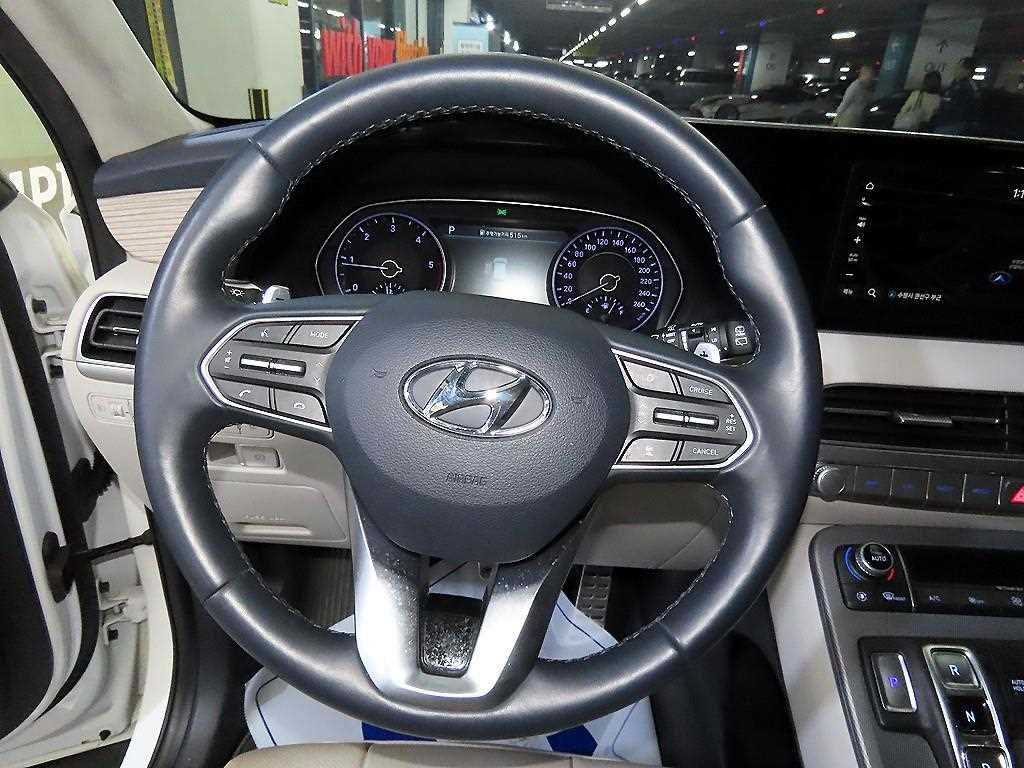 HYUNDAI Palisade - Vista 8