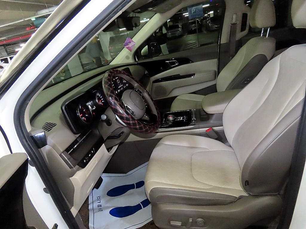 KIA Carnival - Vista 6