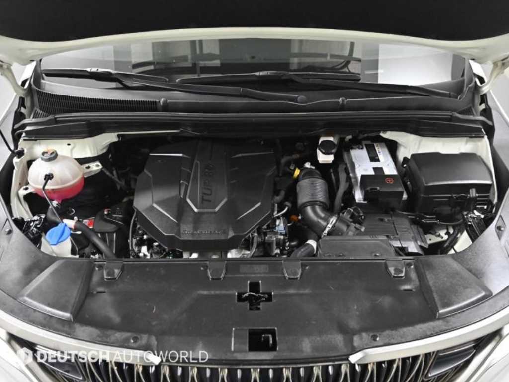 KIA Carnival - Vista 8