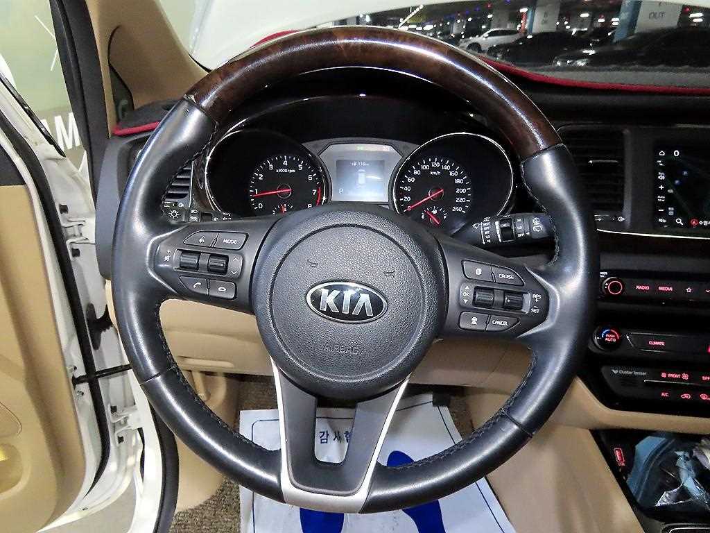 KIA Carnival - Vista 8