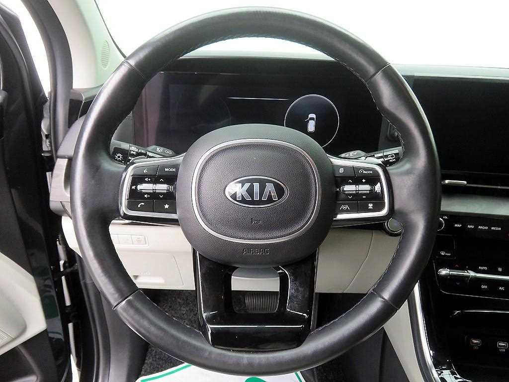 KIA Carnival - Vista 10