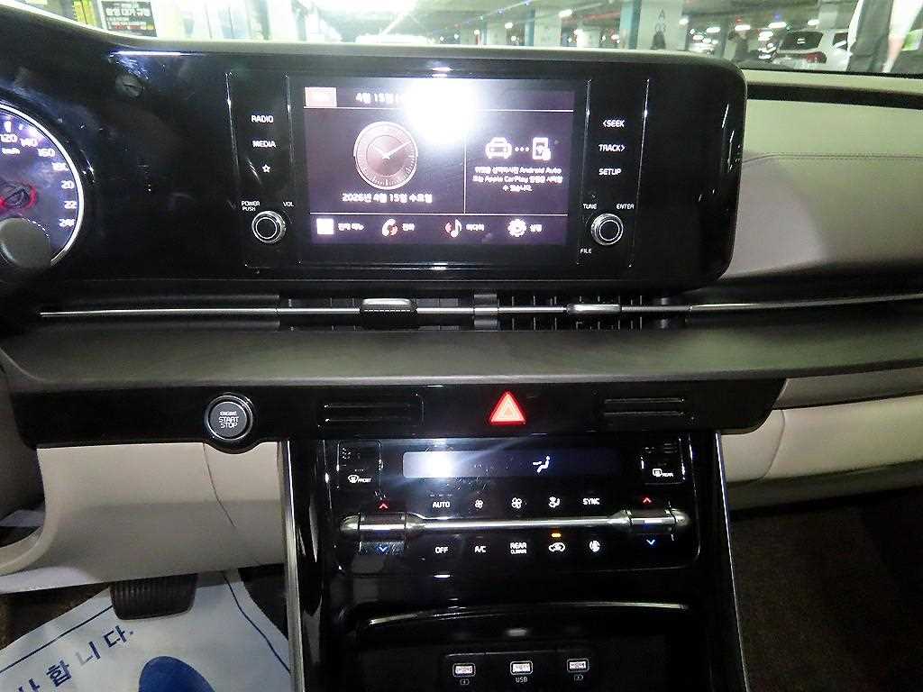 KIA Carnival - Vista 11