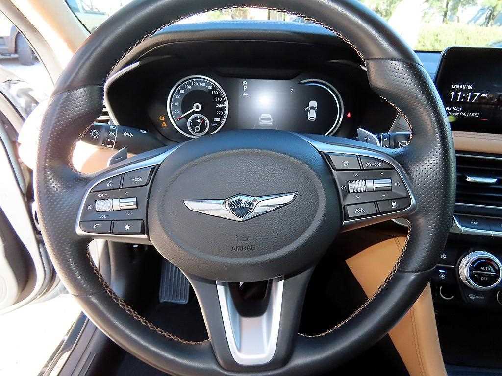 Genesis G70 - Vista 8