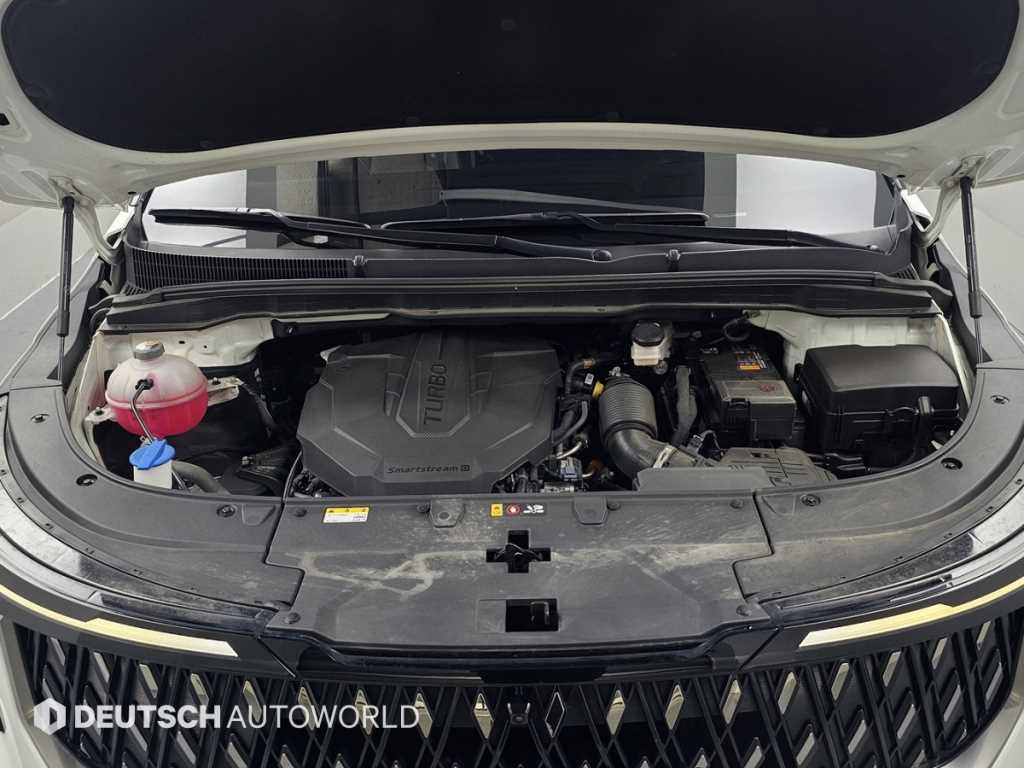 KIA Carnival - Vista 6