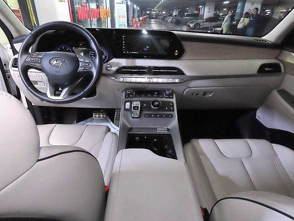 HYUNDAI Palisade - Vista 10