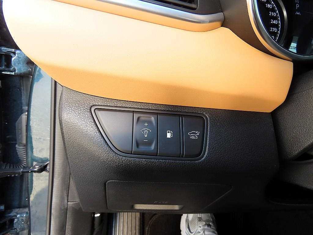 Genesis G70 - Vista 12