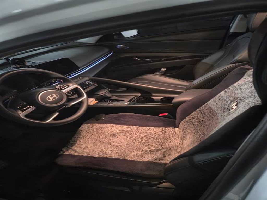 HYUNDAI Avante - Vista 3