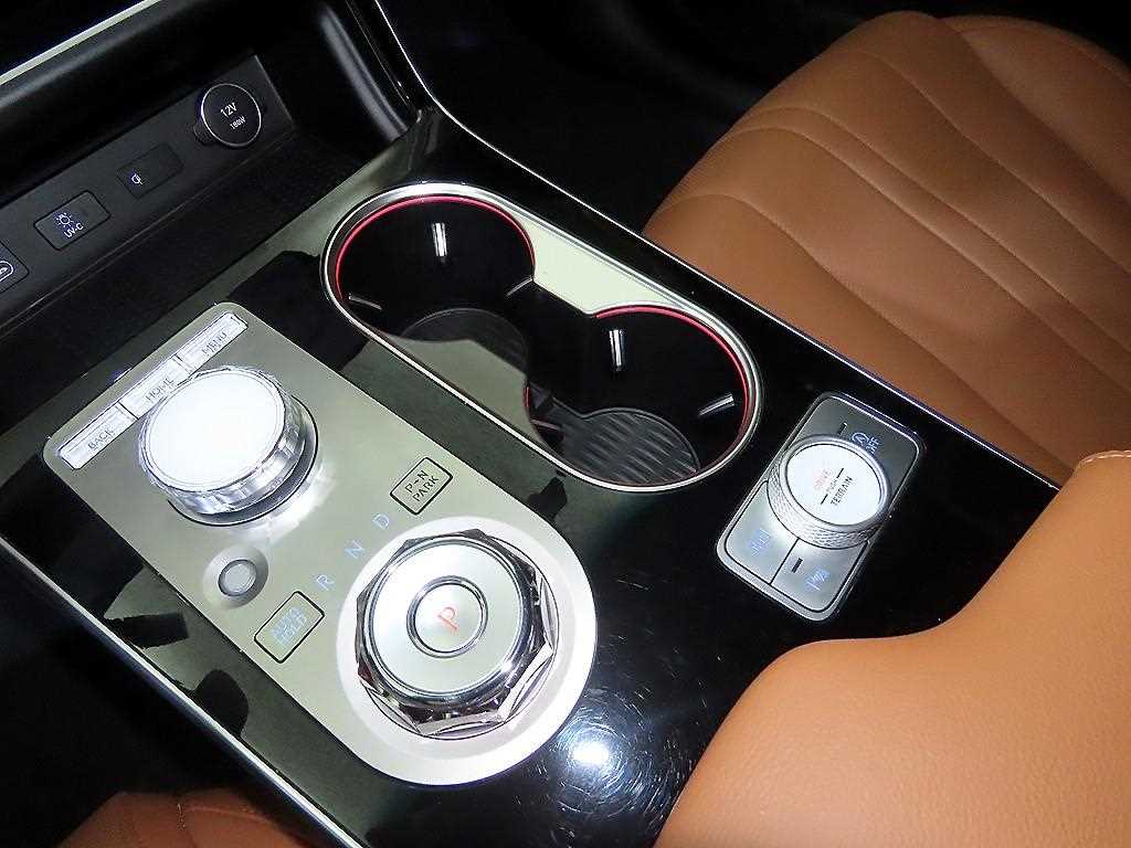 Genesis GV80 - Vista 12