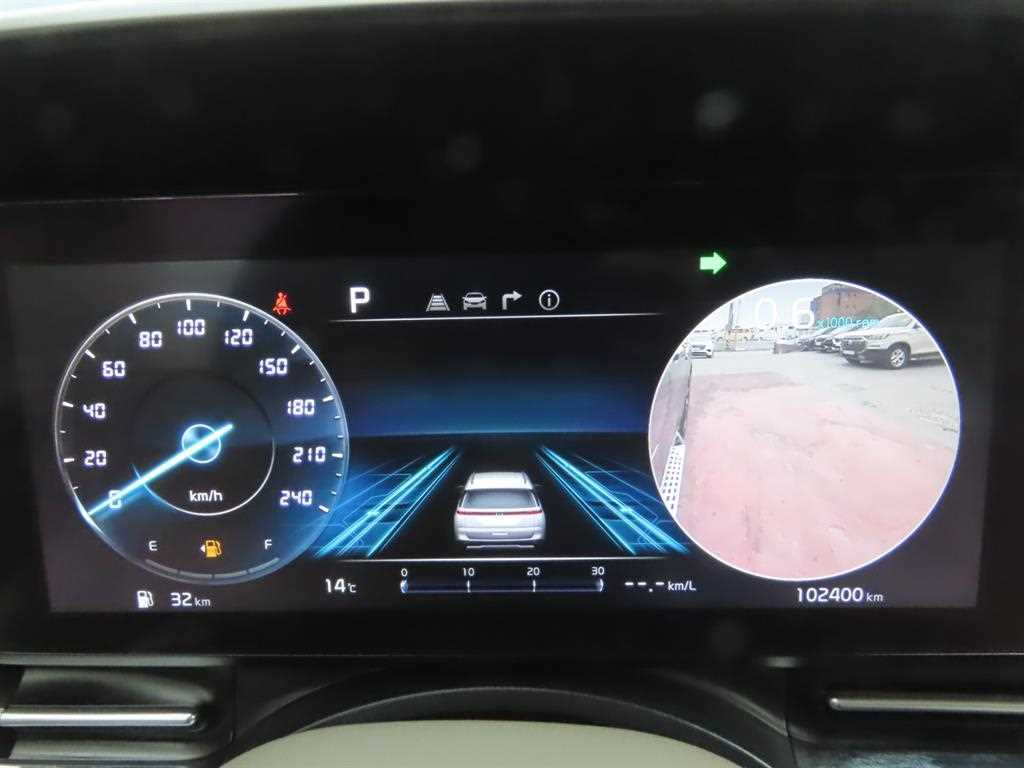 KIA Carnival - Vista 12