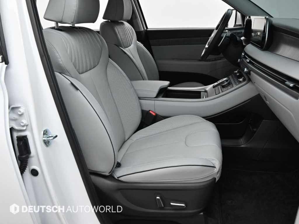 HYUNDAI Palisade - Vista 10
