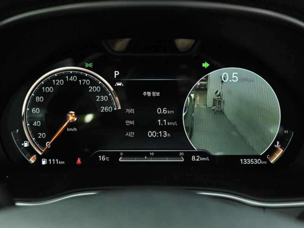 Genesis GV80 - Vista 8