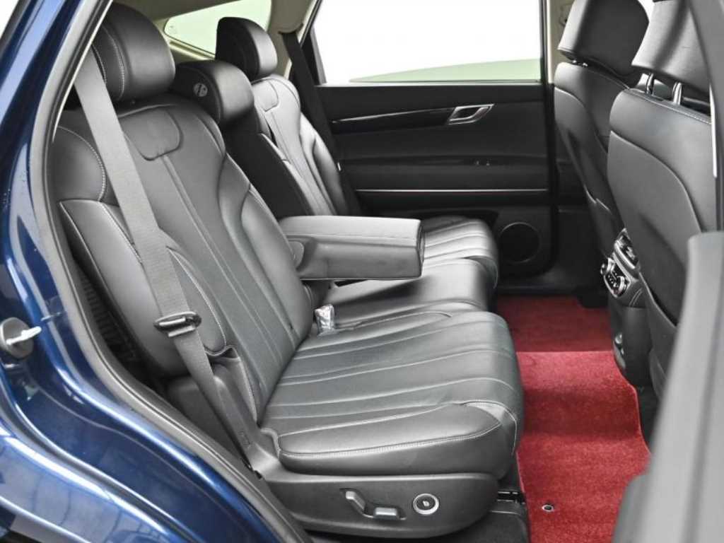 Genesis GV80 - Vista 12