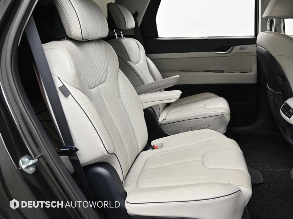 HYUNDAI Palisade - Vista 12