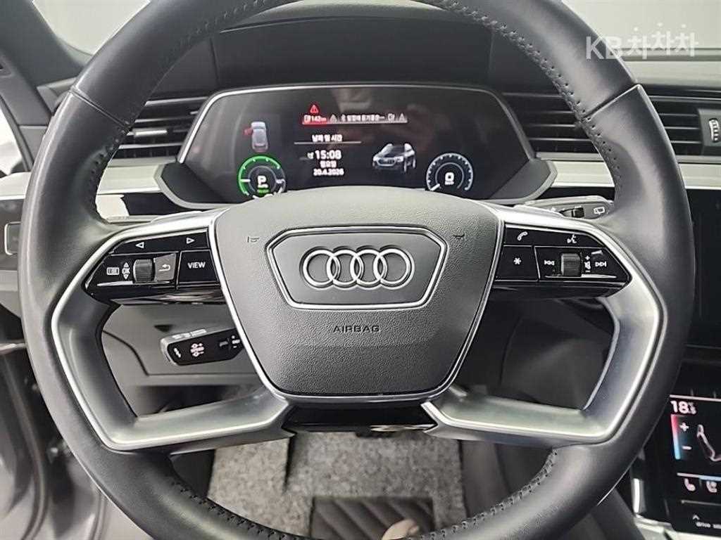 Audi e-Tron - Vista 9