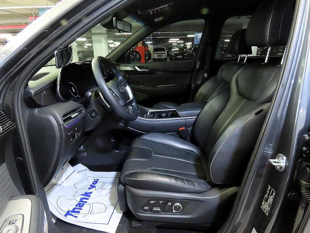 HYUNDAI Palisade - Vista 6