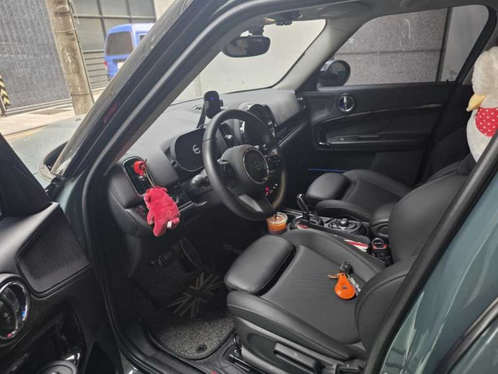 Mini Countryman - Vista 5