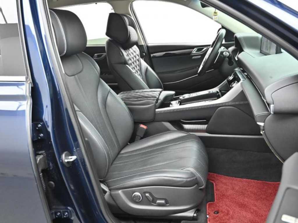 Genesis GV80 - Vista 10