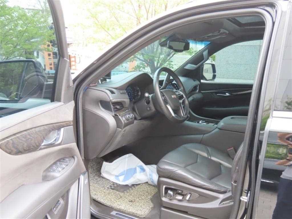 Cadillac Escalade - Vista 12