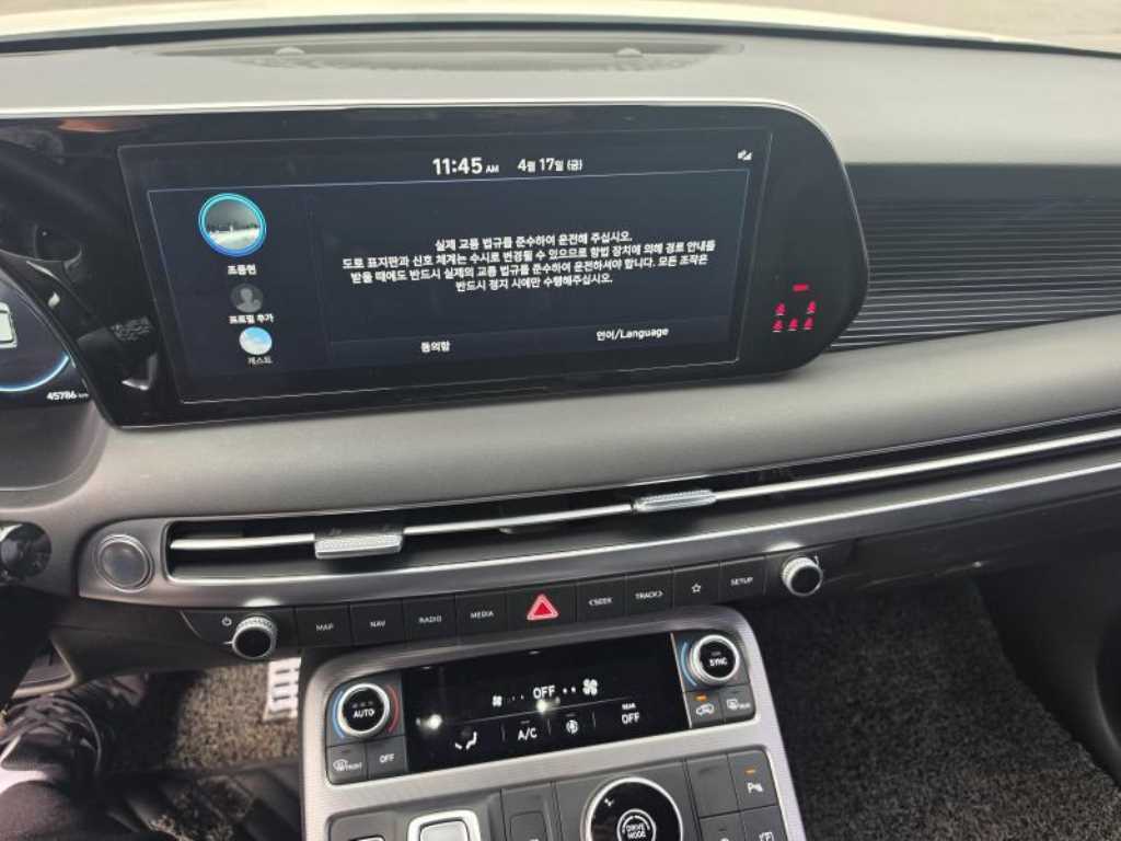 HYUNDAI Palisade - Vista 10