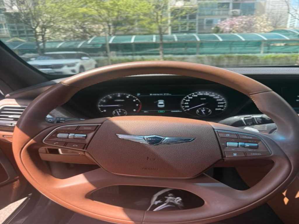 Genesis G90 - Vista 9