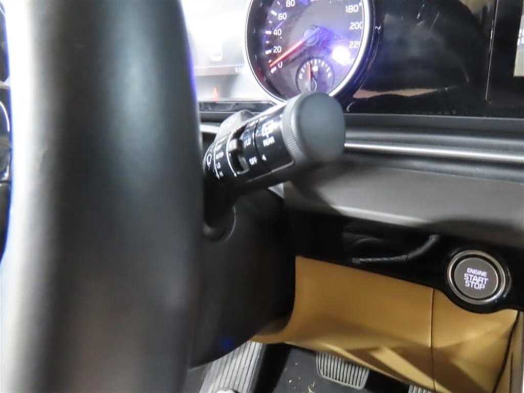 KIA Carnival - Vista 10