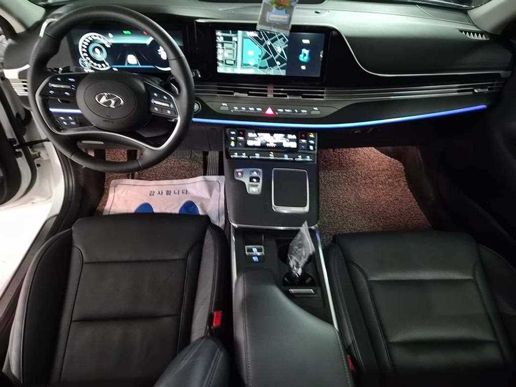 HYUNDAI Grandeur - Vista 10