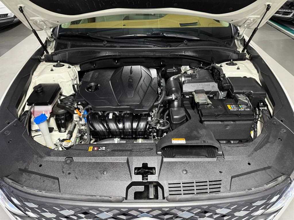 HYUNDAI Grandeur - Vista 6