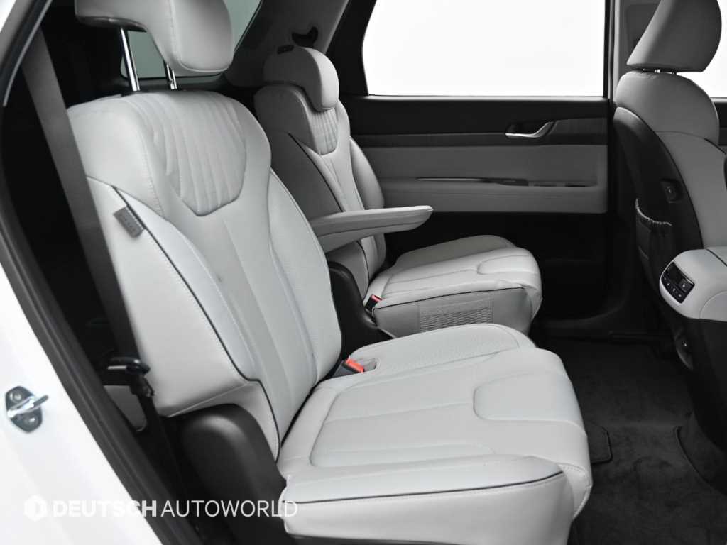 HYUNDAI Palisade - Vista 12