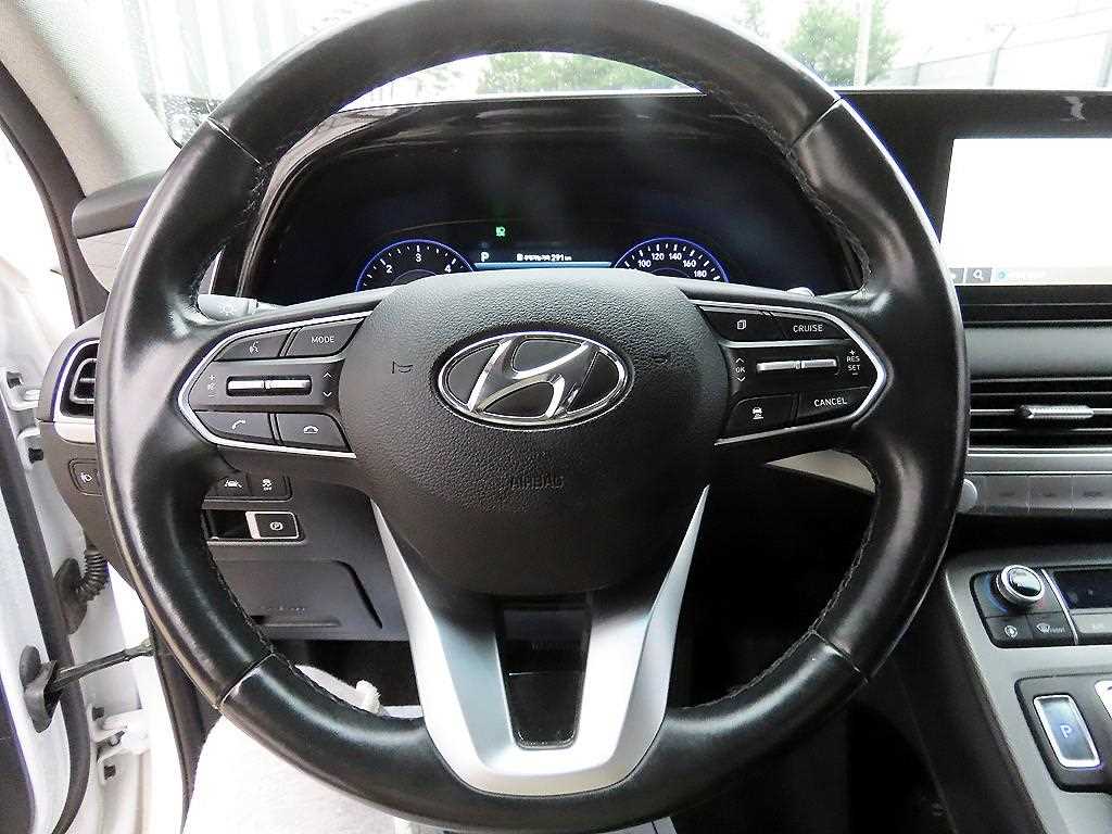 HYUNDAI Palisade - Vista 8