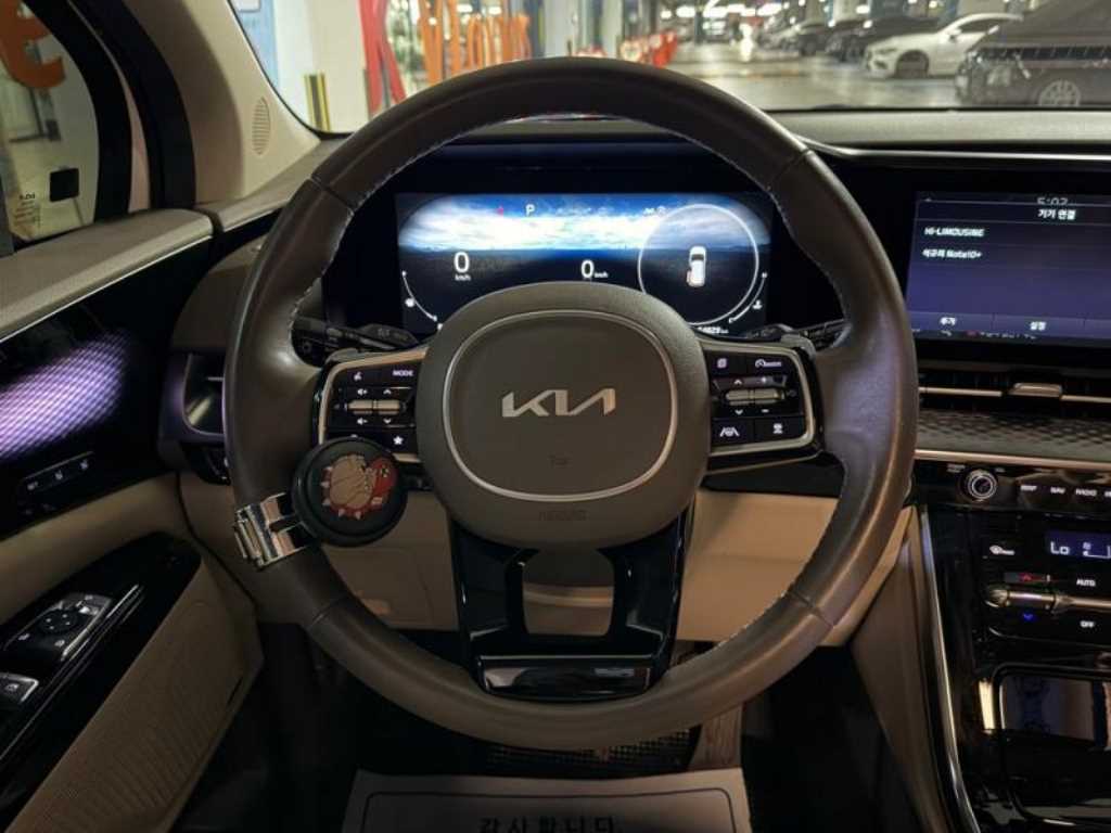 KIA Carnival - Vista 9