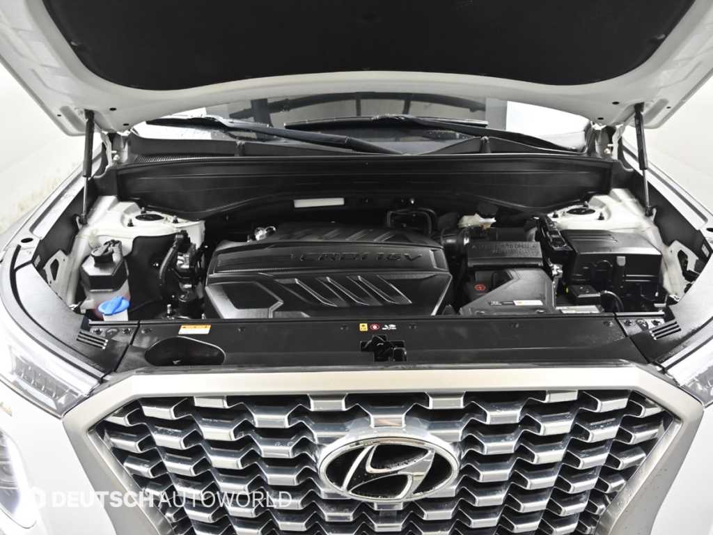HYUNDAI Palisade - Vista 6
