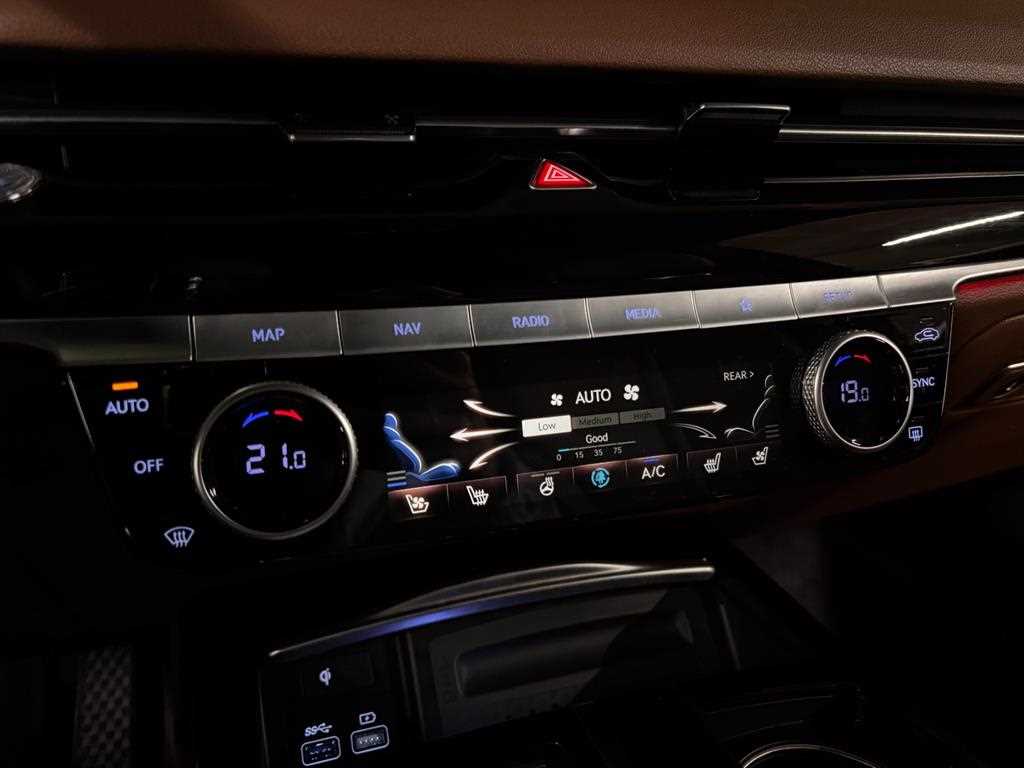 Genesis G80 - Vista 12