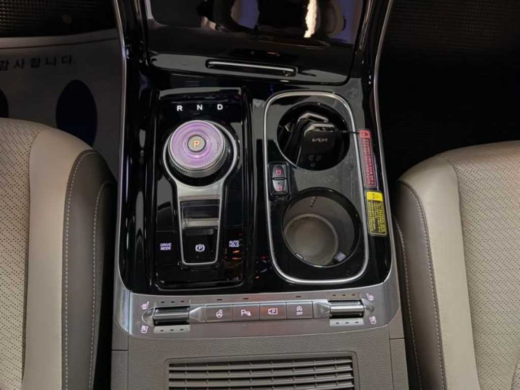 KIA Carnival - Vista 12