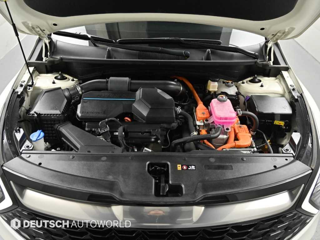 KIA Sportage - Vista 6