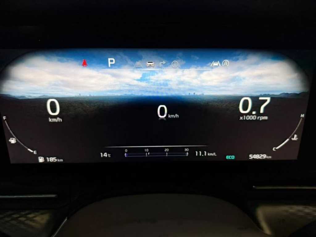 KIA Carnival - Vista 10