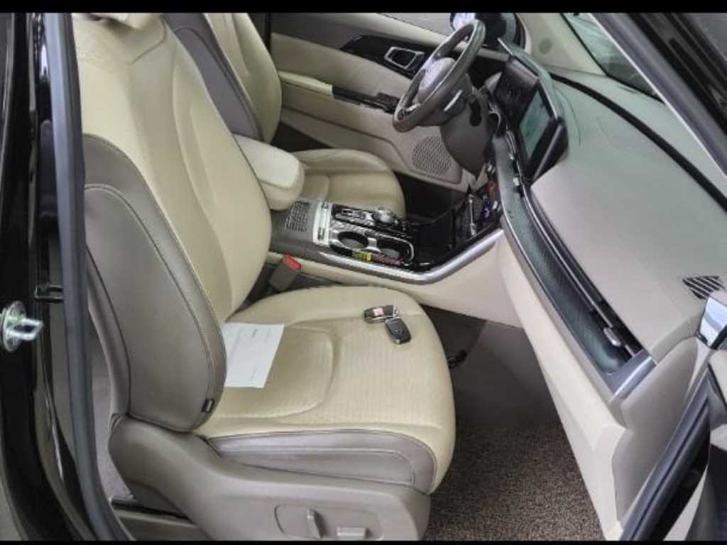 KIA Carnival - Vista 8