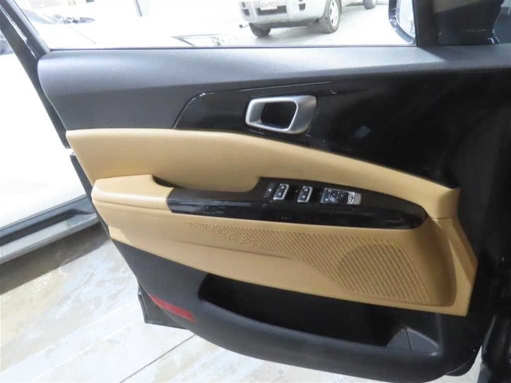 KIA Carnival - Vista 7