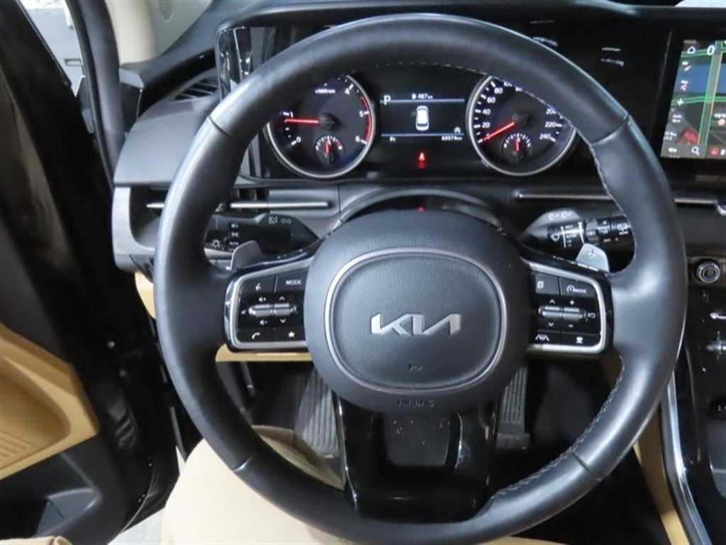 KIA Carnival - Vista 9