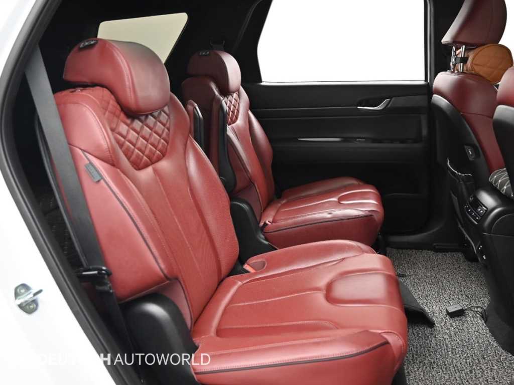 HYUNDAI Palisade - Vista 12