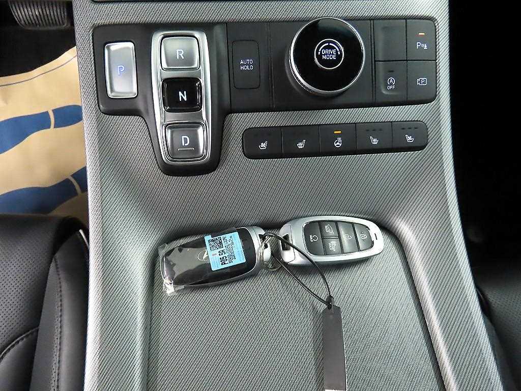 HYUNDAI Palisade - Vista 10