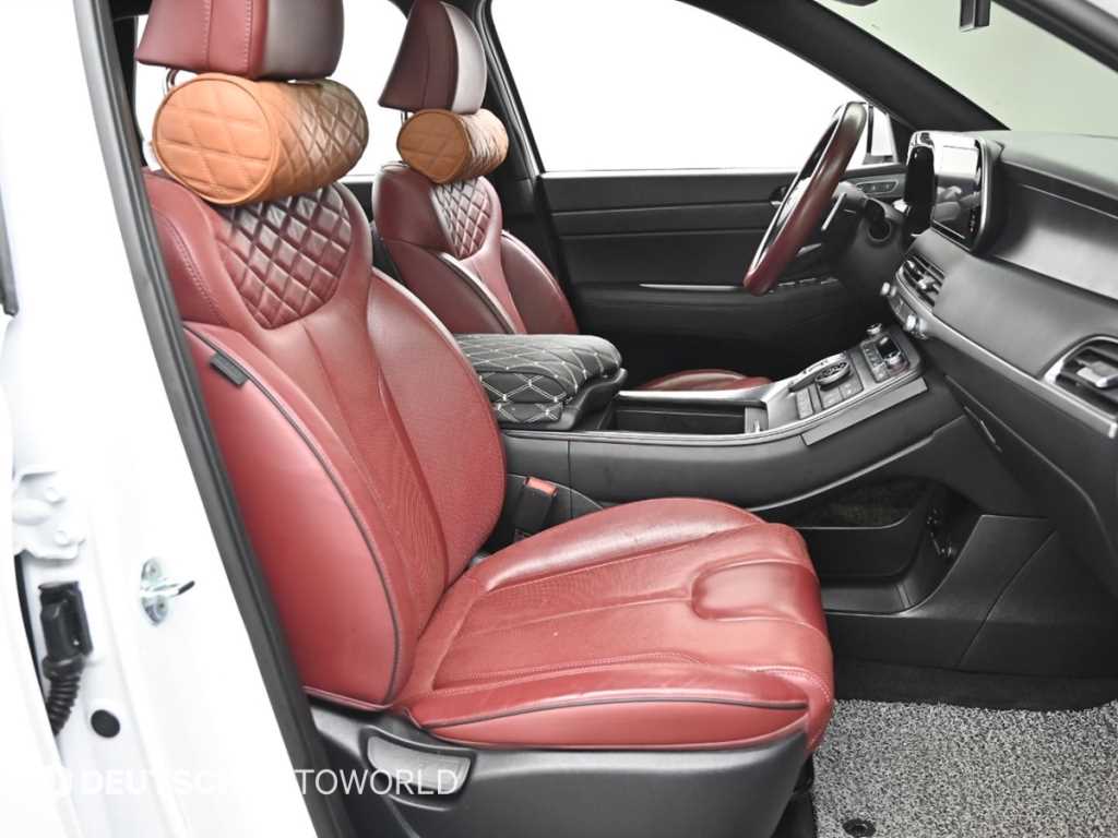 HYUNDAI Palisade - Vista 10