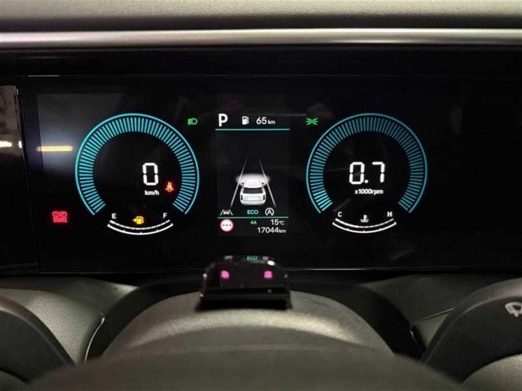 HYUNDAI Palisade - Vista 6