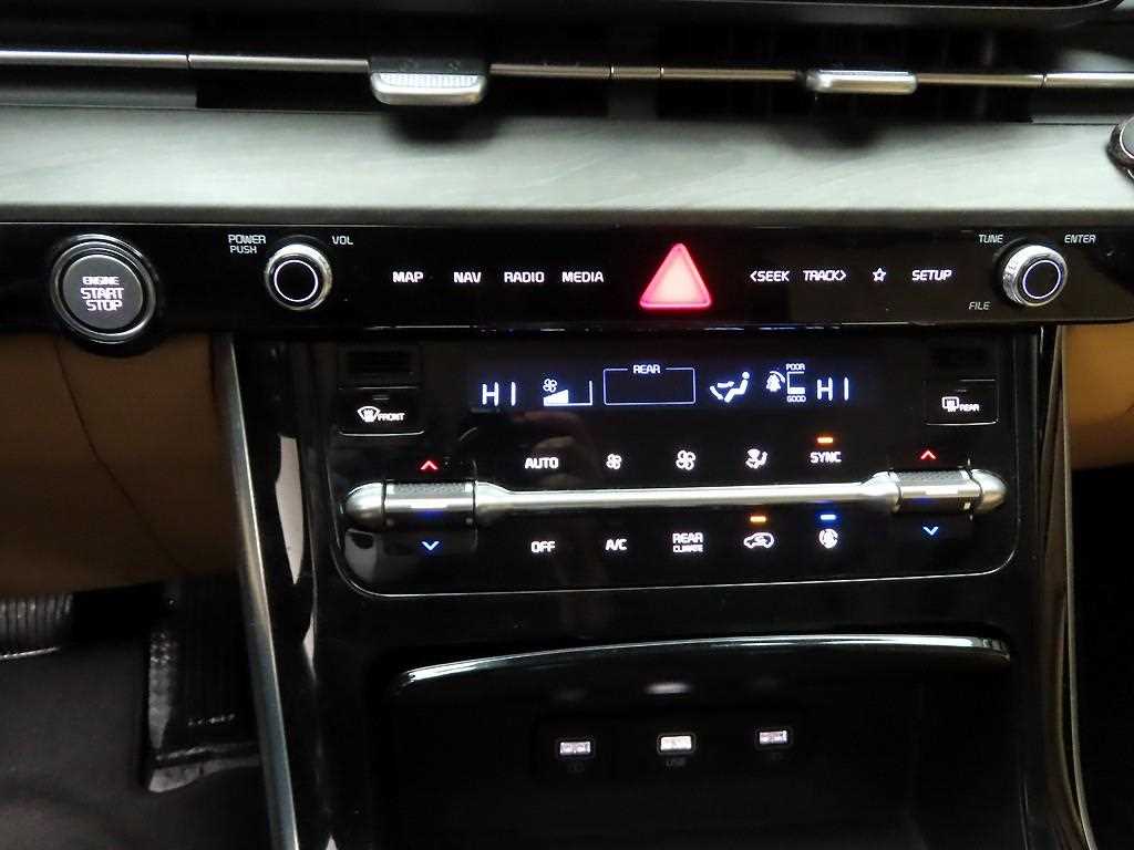 KIA Carnival - Vista 9