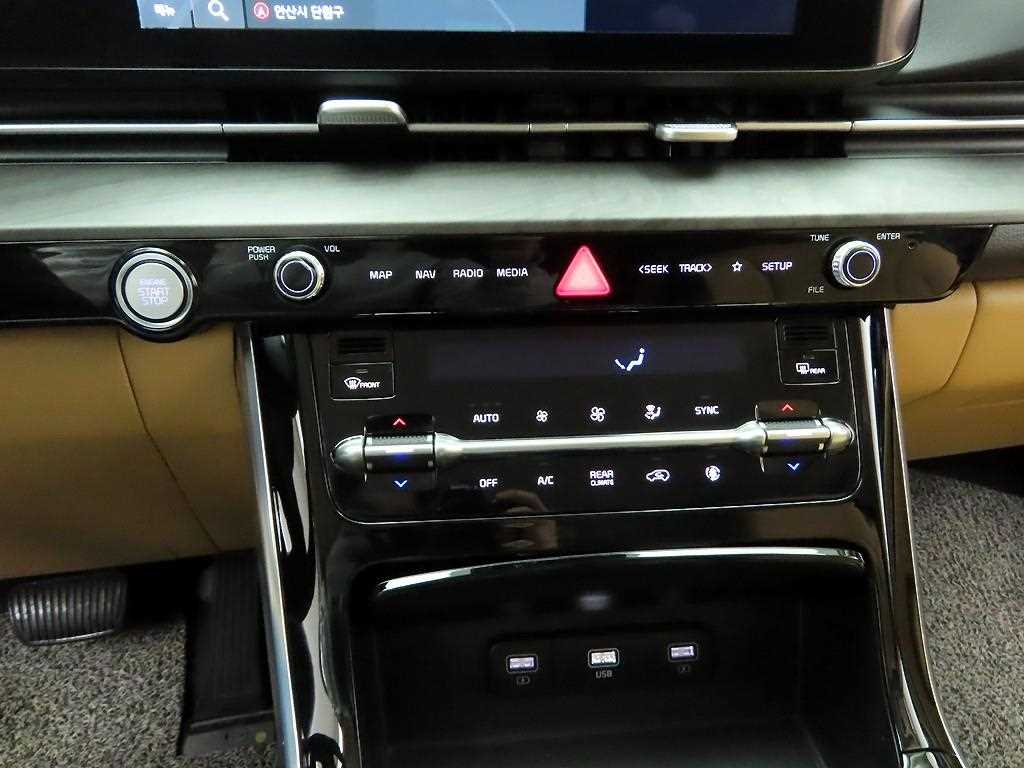 KIA Carnival - Vista 9