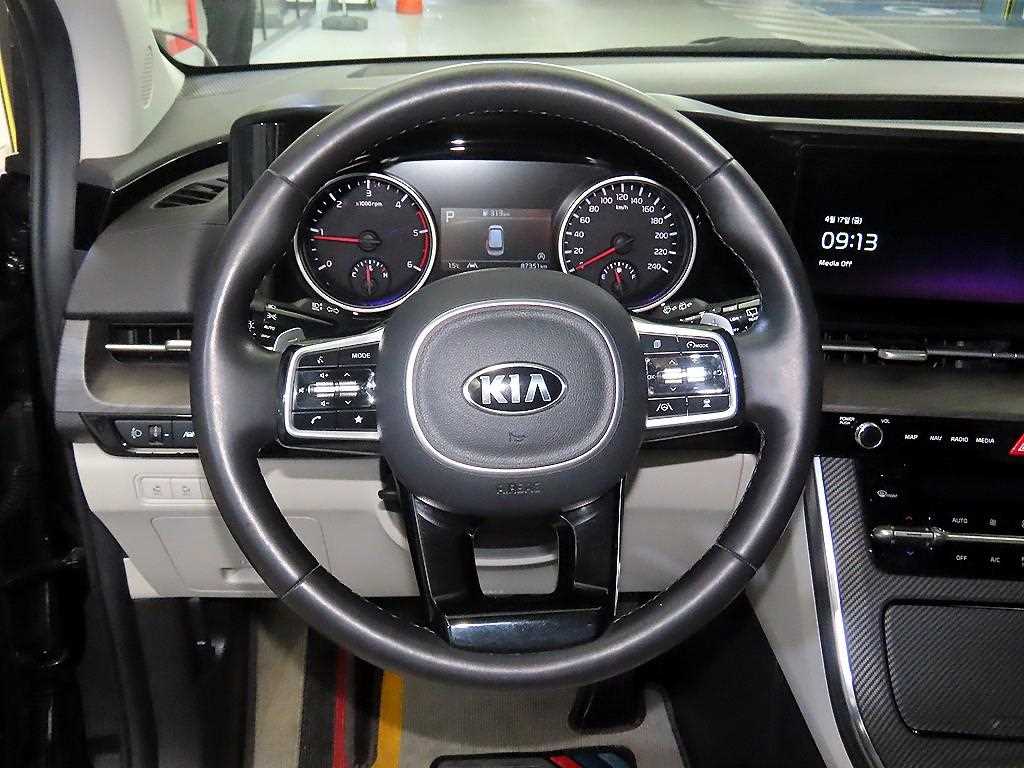 KIA Carnival - Vista 8